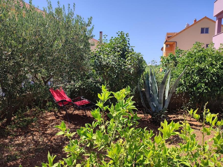Apartment Nera Zadar Luaran gambar